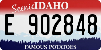 ID license plate E902848