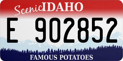 ID license plate E902852