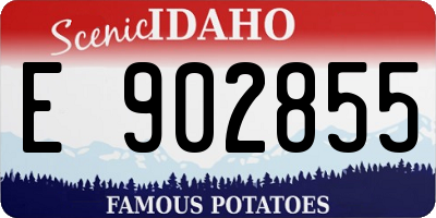 ID license plate E902855