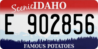ID license plate E902856