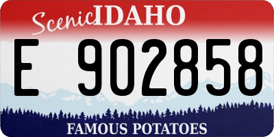 ID license plate E902858