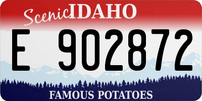ID license plate E902872