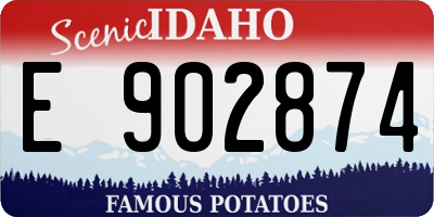 ID license plate E902874