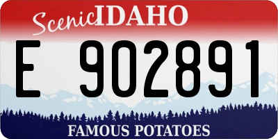 ID license plate E902891