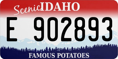 ID license plate E902893