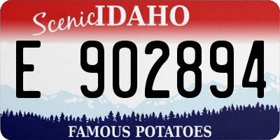 ID license plate E902894