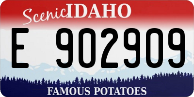ID license plate E902909