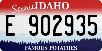 ID license plate E902935