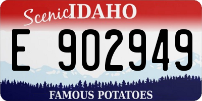 ID license plate E902949