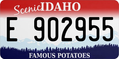 ID license plate E902955