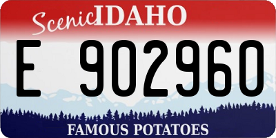 ID license plate E902960
