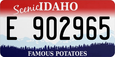 ID license plate E902965