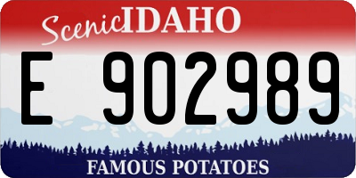 ID license plate E902989
