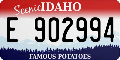 ID license plate E902994