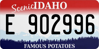ID license plate E902996