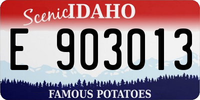 ID license plate E903013