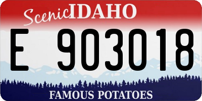 ID license plate E903018