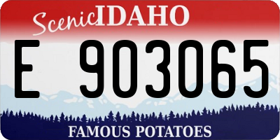 ID license plate E903065