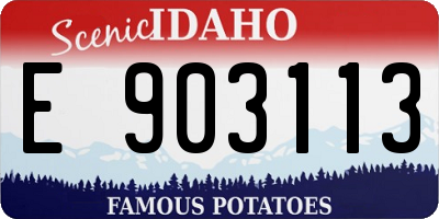 ID license plate E903113