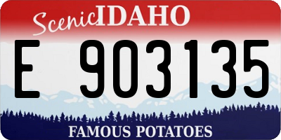 ID license plate E903135