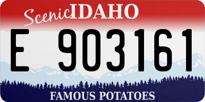 ID license plate E903161