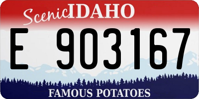 ID license plate E903167