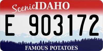ID license plate E903172