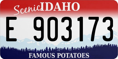 ID license plate E903173