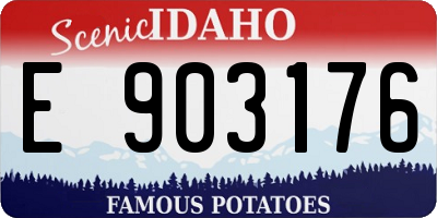 ID license plate E903176