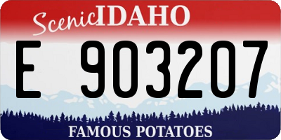 ID license plate E903207