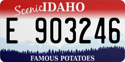 ID license plate E903246