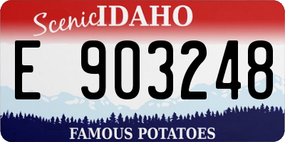 ID license plate E903248