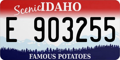 ID license plate E903255