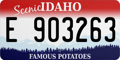 ID license plate E903263