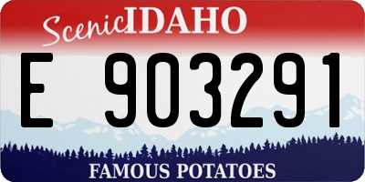 ID license plate E903291