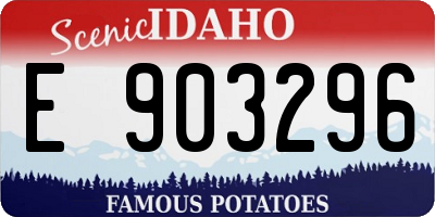 ID license plate E903296