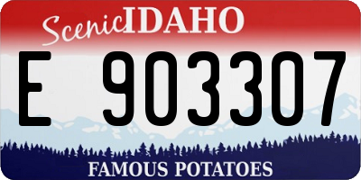 ID license plate E903307