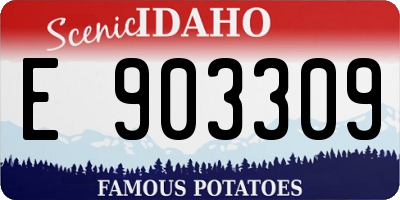 ID license plate E903309