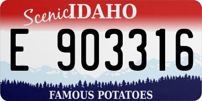 ID license plate E903316