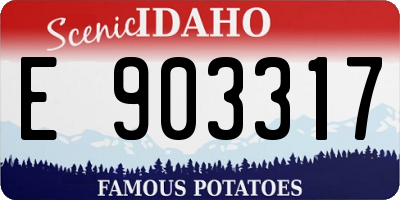 ID license plate E903317