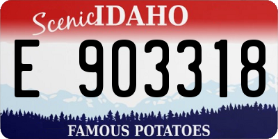 ID license plate E903318