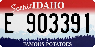 ID license plate E903391
