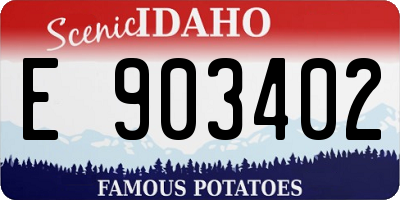 ID license plate E903402
