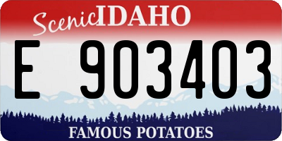 ID license plate E903403