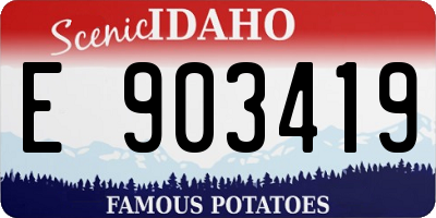 ID license plate E903419