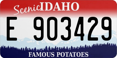 ID license plate E903429