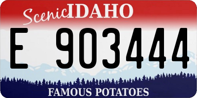 ID license plate E903444