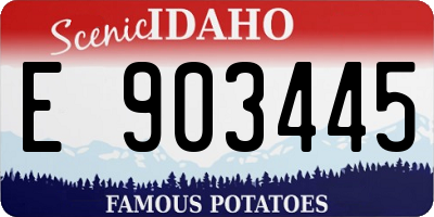 ID license plate E903445