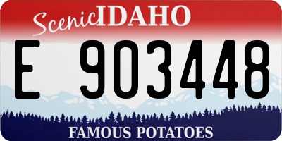ID license plate E903448