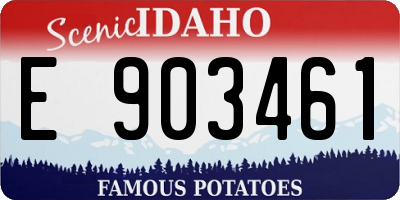 ID license plate E903461